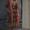 astounding Stylish Punjabi Beautiful Designed designer Bridal Suit