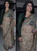 sizzling Beige Brown designer bollywood Saree With Golden Embroidery
