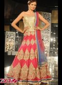 Diva Look Net Golden Work Pink Bridal Lehenga
