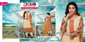 Pure Cotton Embroidered Suits ZKSN9163 (9)