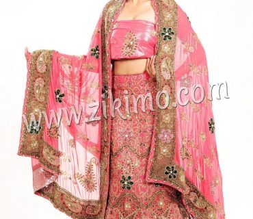 Pink Indian Traditional Lehenga with Sequnce Jall and golden nakshi Work