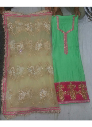 Green Magenta Siyoni Silk All Over Punjabi Salwar Suit With Net Duppta at Zikimo