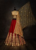Red Georgette Golden Aplique bridal Lehenga Choli at Zikimo