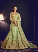 PistaGreen5064 Silk Net Indian Wedding Festive Wear Lehenga at Zikimo