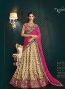 RaniColor5067 Silk Net Indian Wedding Festive Wear Lehenga at Zikimo