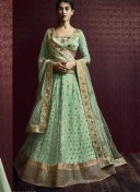 PistaGreen5068 Net Indian Wedding Festive Wear Lehenga at Zikimo