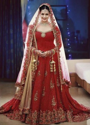 Red5069 Net Indian Wedding Festive Wear Lehenga at Zikimo