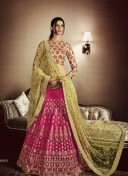 LirilPink Biege5072 Silk Net Indian Wedding Festive Wear Lehenga at Zikimo