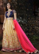 BlueGolden2902 Silk Net WeddingParty Lehenga Choli at ZIkimo