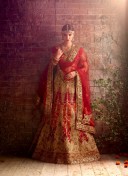 GoldRedMagenta1107 Fancy Fabric Golden Embroidery Work Indian Bridal Lehenga Choli at ZIkimo