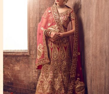 PinkishREd1110 Fancy Fabric Golden Embroidery Work Indian Bridal Lehenga Choli at ZIkimo